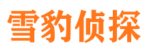 迭部外遇出轨调查取证